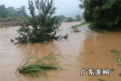 洪灾过后为何闹 洪灾过后为什么闹瘟疫