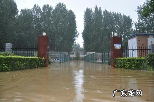 车被困在水里怎样 车被困在水里怎么办