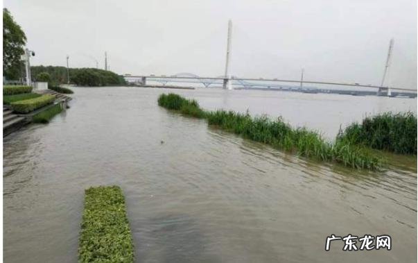 水灾后会有甚么瘟 水灾后会有什么瘟疫