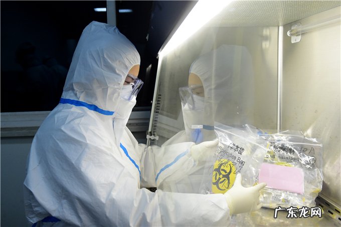 核酸检测呈阳性是 核酸检测呈阳性是什么意思