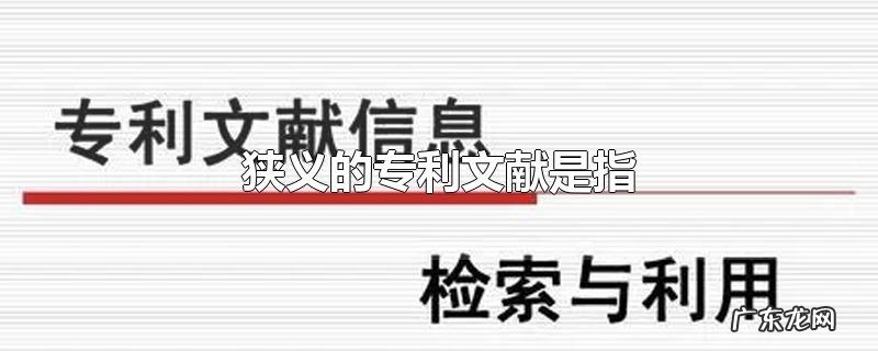 狭义的专利文献是指