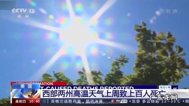 美国两州高温致上 美国两州高温致上百人死亡