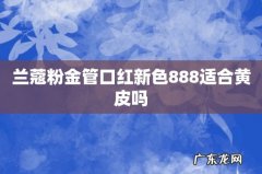 兰蔻粉金管口红新色888适合黄皮吗