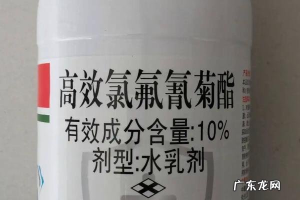 高效氯氟氰菊酯对蜗牛的效果