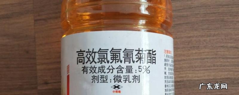 高效氯氟氰菊酯对蜗牛的效果