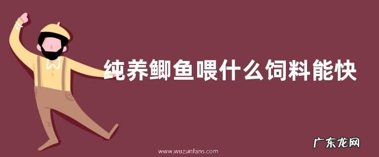 纯养鲫鱼喂什么饲料能快速生长