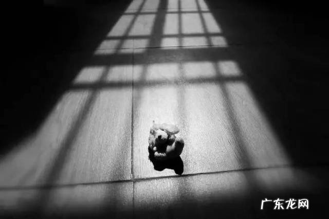 鬼最怕几月份诞生 鬼最怕几月份出生的人