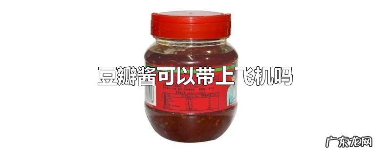 豆瓣酱可以带上飞机吗