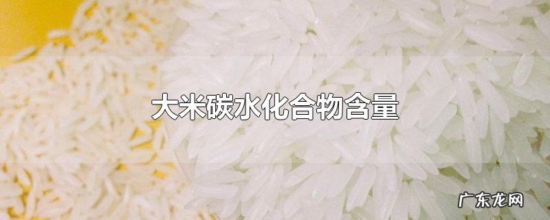 大米碳水化合物含量