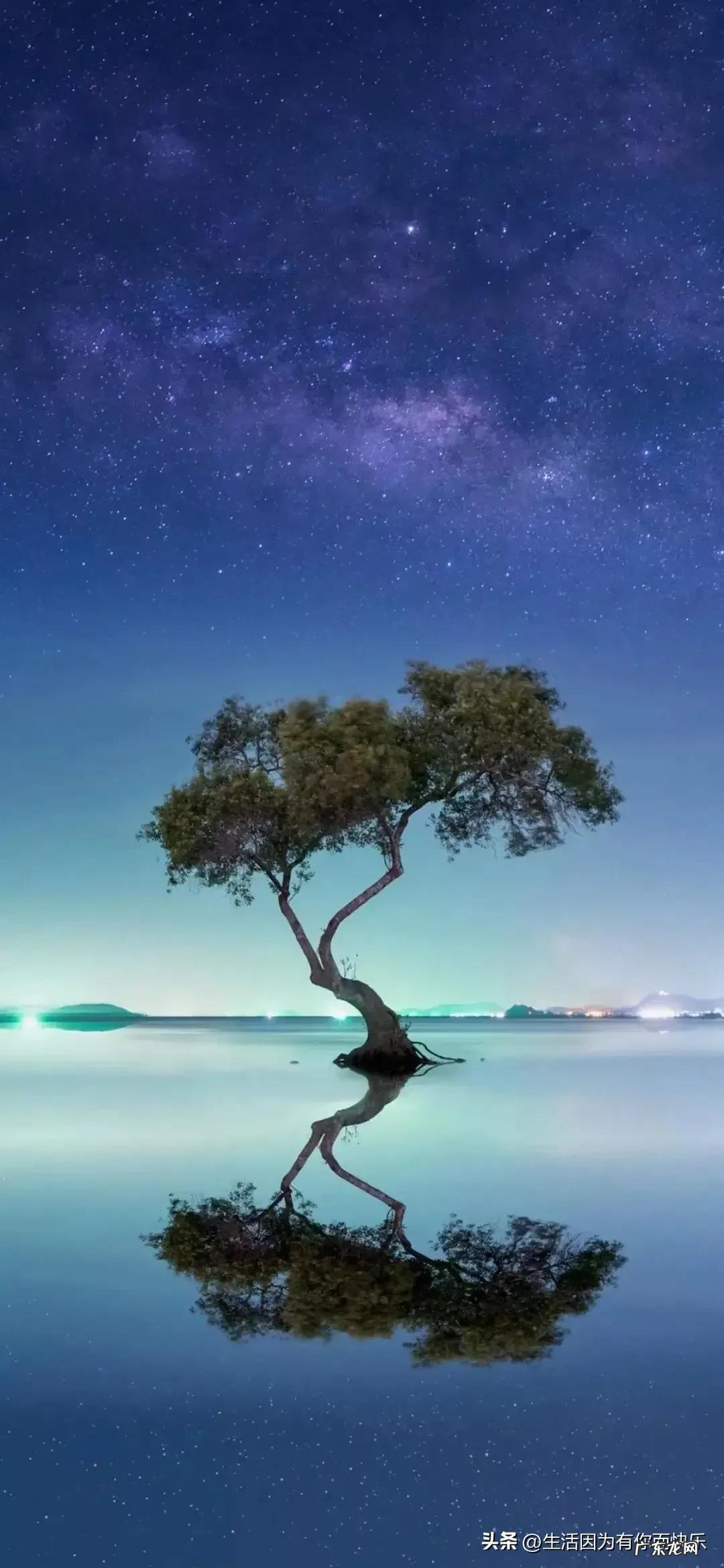 风水相学哪本书好