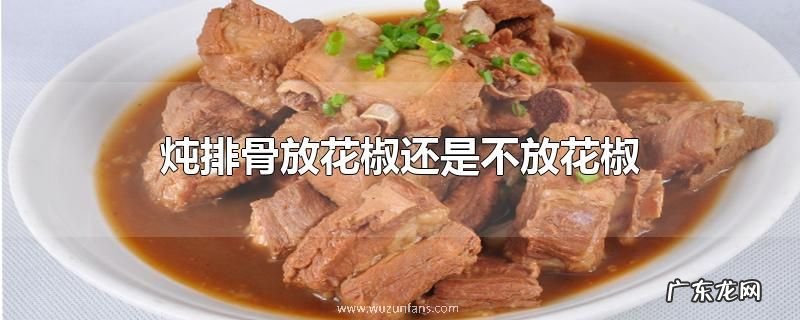 炖排骨放花椒还是不放花椒