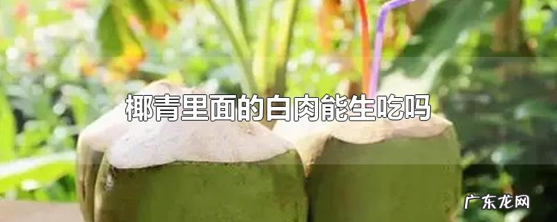 椰青里面的白肉能生吃吗