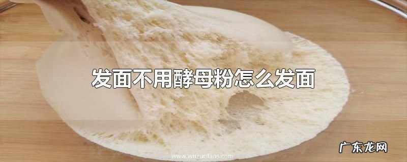 发面不用酵母粉怎么发面