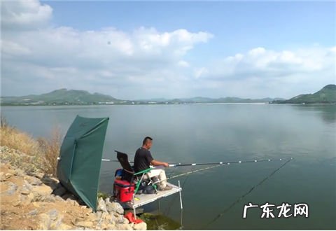 新手钓鱼有甚么要 新手钓鱼有什么要注意的