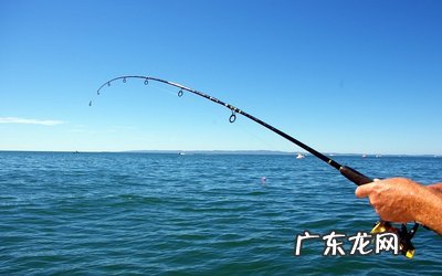 新手钓鱼怎样选杆 新手钓鱼怎么选杆
