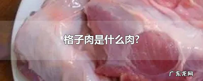 格子肉是什么肉?