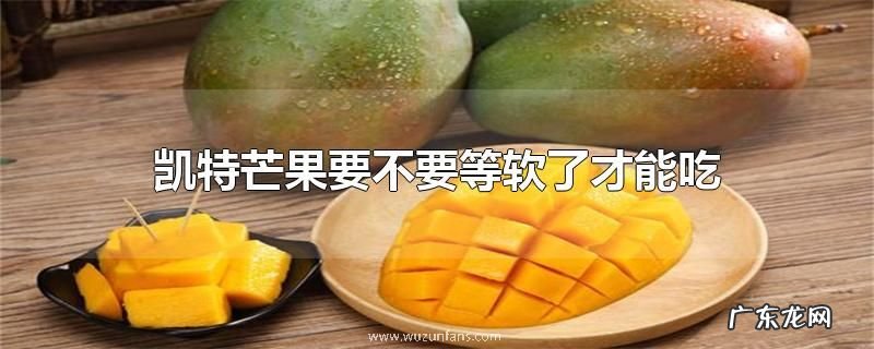 凯特芒果要不要等软了才能吃