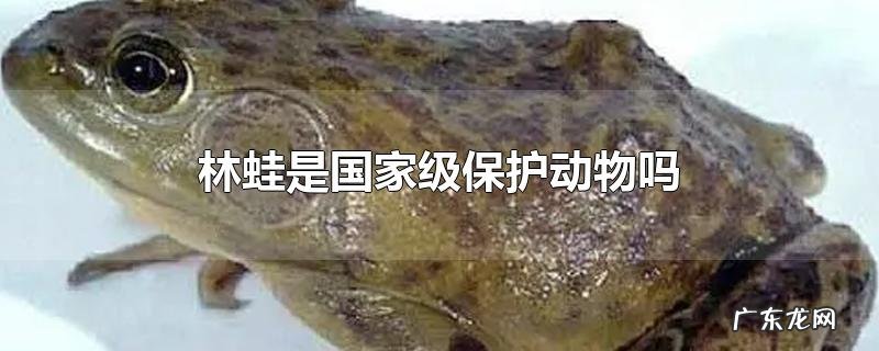 林蛙是国家级保护动物吗