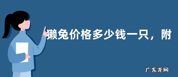 獭兔价格多少钱一只,附养殖技术