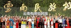 云南有哪些民族