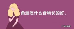 角蛙吃什么食物长的好，附饲养方法