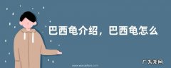 巴西龟介绍，巴西龟怎么养，如何区分公母