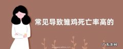 常见导致雏鸡死亡率高的六大原因，容易感染哪些疾病