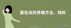 面包虫的养殖方法，饲料如何选择