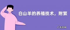 白山羊的养殖技术，附繁殖管理与放牧饲养