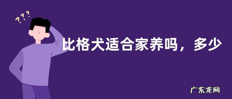 比格犬适合家养吗,多少钱一只?如何训练