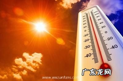 高温天气要不要开 高温天气要不要开窗户