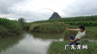 第1次钓鱼要注意 第一次钓鱼要注意什么