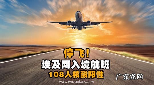 埃及赴华2架次航 埃及赴华2架次航班108人检测阳性