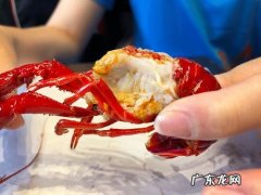 小龙虾养殖方法和 小龙虾养殖方法和环境