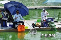 夏天钓鱼的技能和 夏天钓鱼的技巧和方法