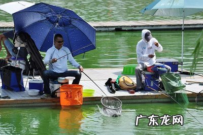 夏天钓鱼的技能和 夏天钓鱼的技巧和方法