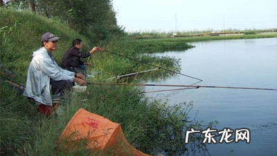 夏季去哪里钓鱼好 夏季去哪里钓鱼好