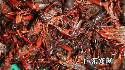 小龙虾怎样保鲜存 小龙虾怎么保鲜存放