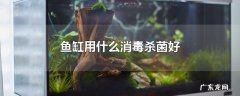 鱼缸用什么消毒杀菌好