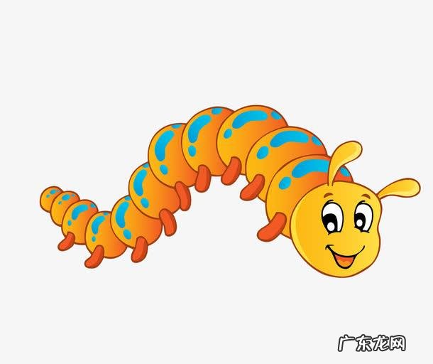 夏天家里有很多小 夏天家里有很多小飞虫,怎么处理?