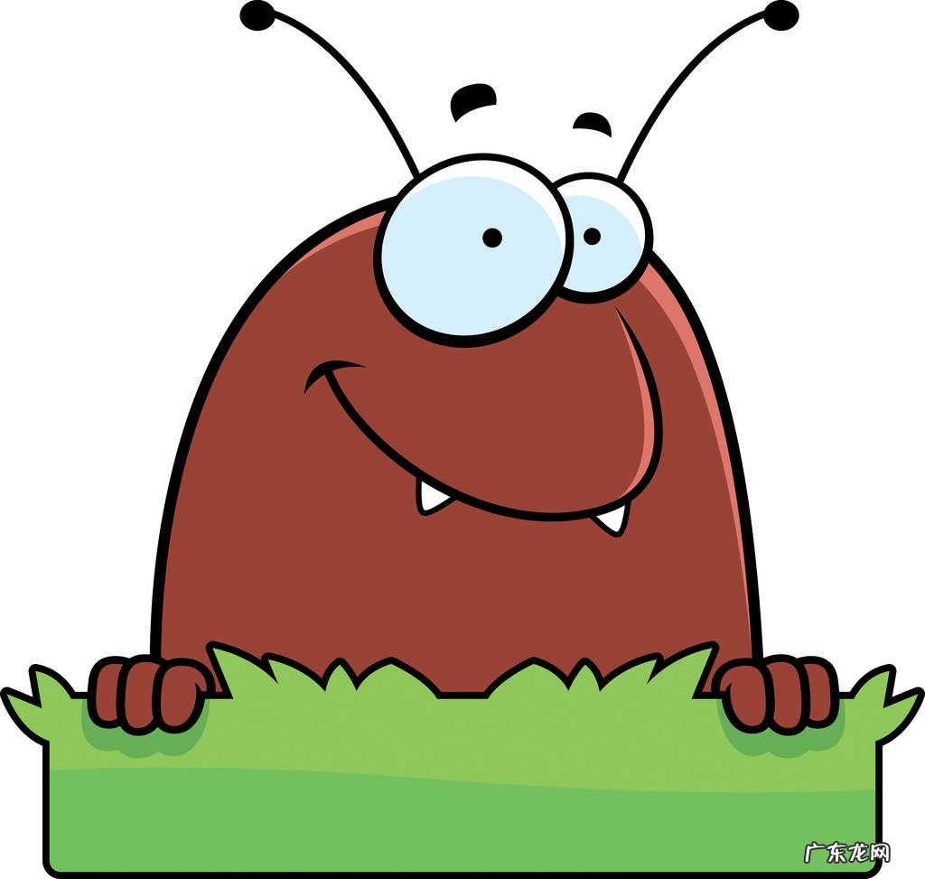 跳蚤1般咬完人都 跳蚤一般咬完人都藏哪了