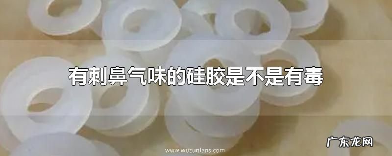 有刺鼻气味的硅胶是不是有毒