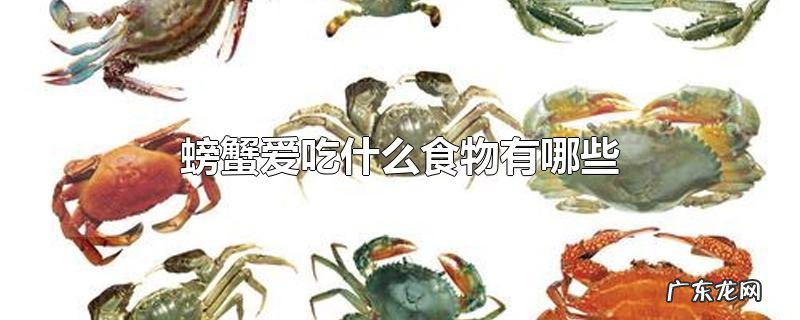 螃蟹爱吃什么食物有哪些