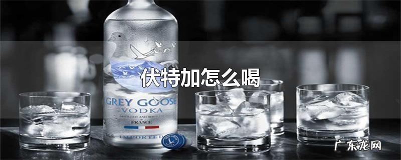 伏特加怎么喝