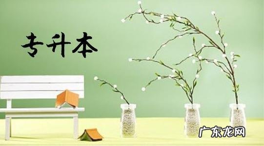 江西专升本做弊: 江西专升本作弊:多名大学教师被刑拘