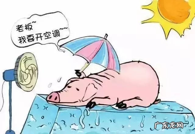 夏天出门的心情说 夏天出门的心情说说