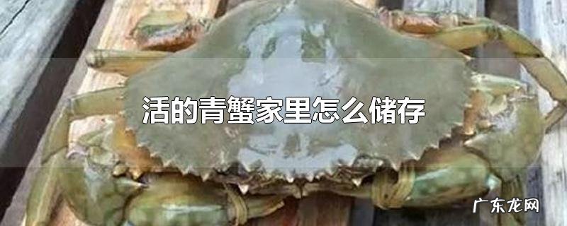 活的青蟹家里怎么储存