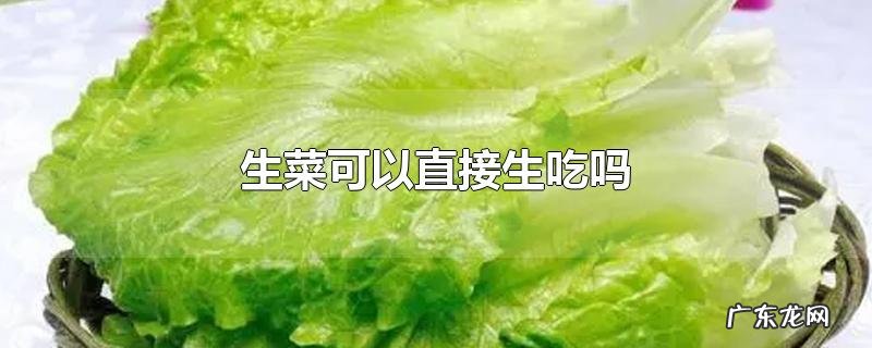 生菜可以直接生吃吗