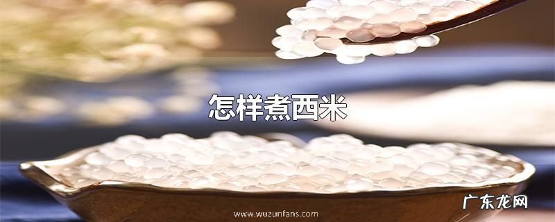 怎样煮西米