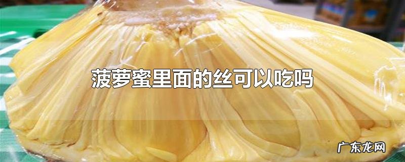 菠萝蜜里面的丝可以吃吗